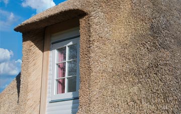 Old Tame thatch roof disadvantages